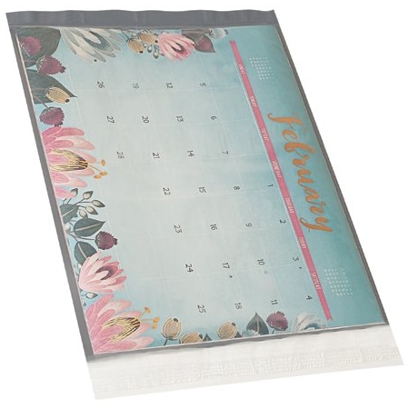 Bsc Preferred 14-1/2 x 19'' Clear View Poly Mailers, 100PK BUY00018217